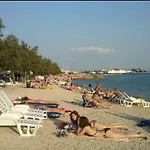Marul *