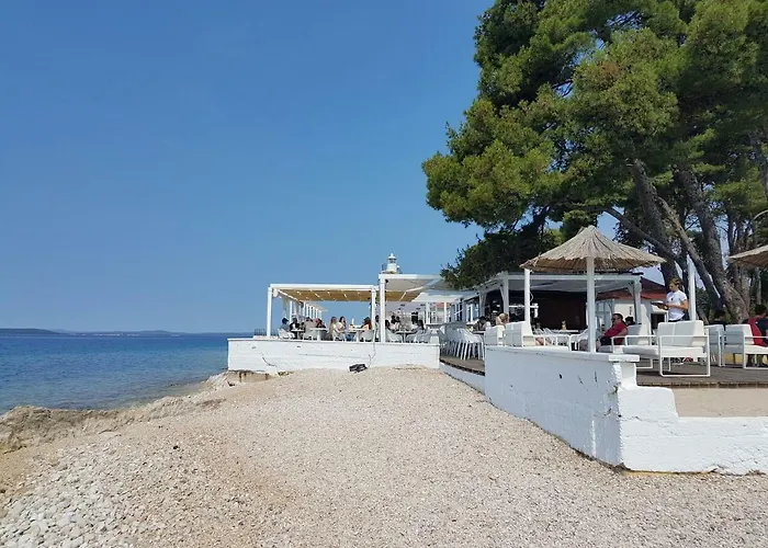 Marul * Ζαντάρ