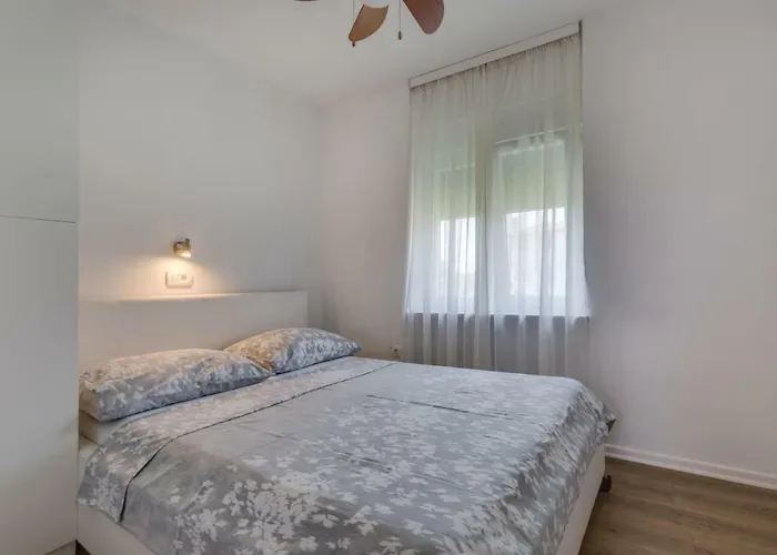 Marul * Ζαντάρ